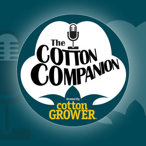 Cotton-Companion